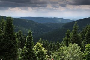 Thüringer Wald Gotha